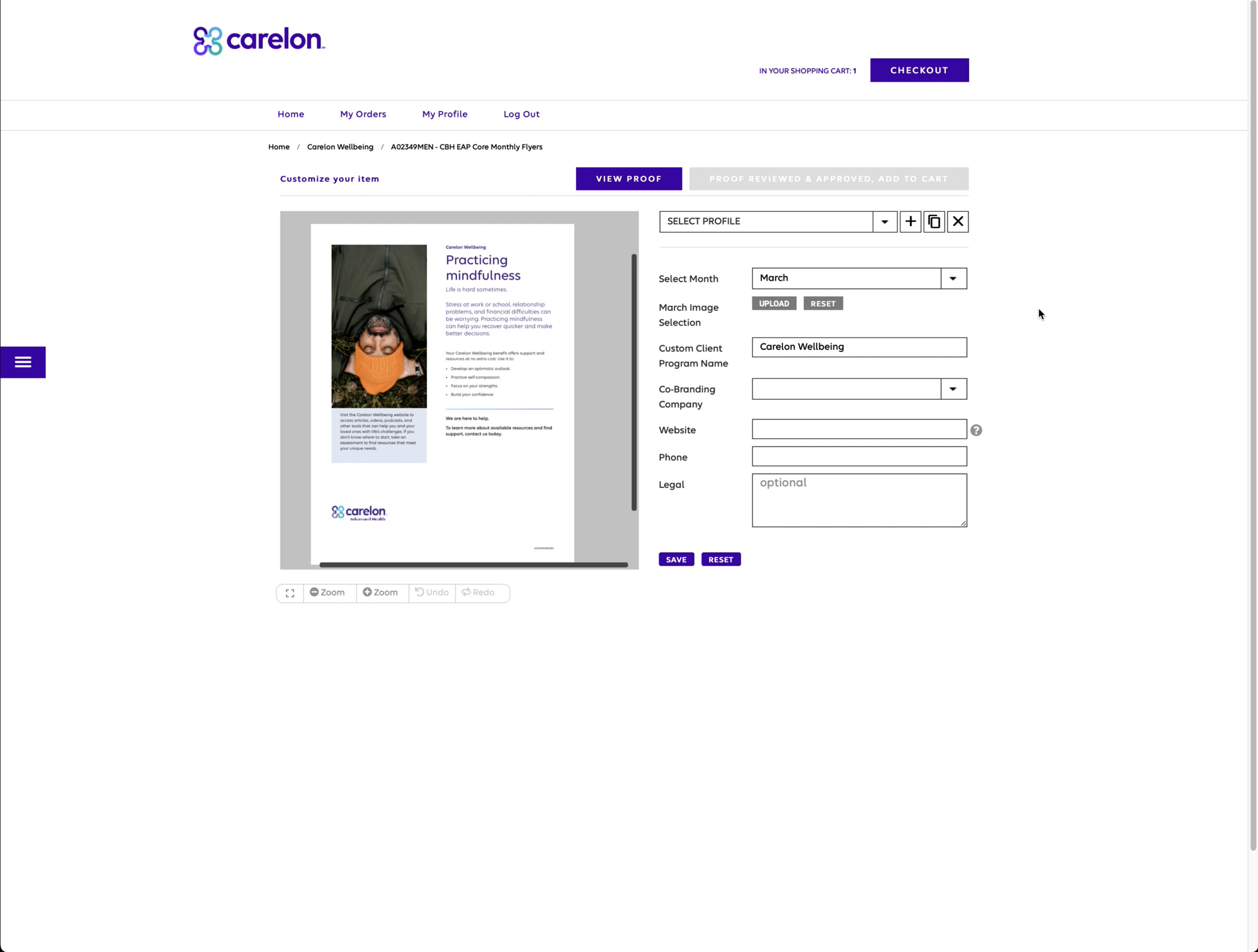 Configuring a member-facing toolkit flyer — profile, co-branding, client logo and contact fields on the right, live preview on the left